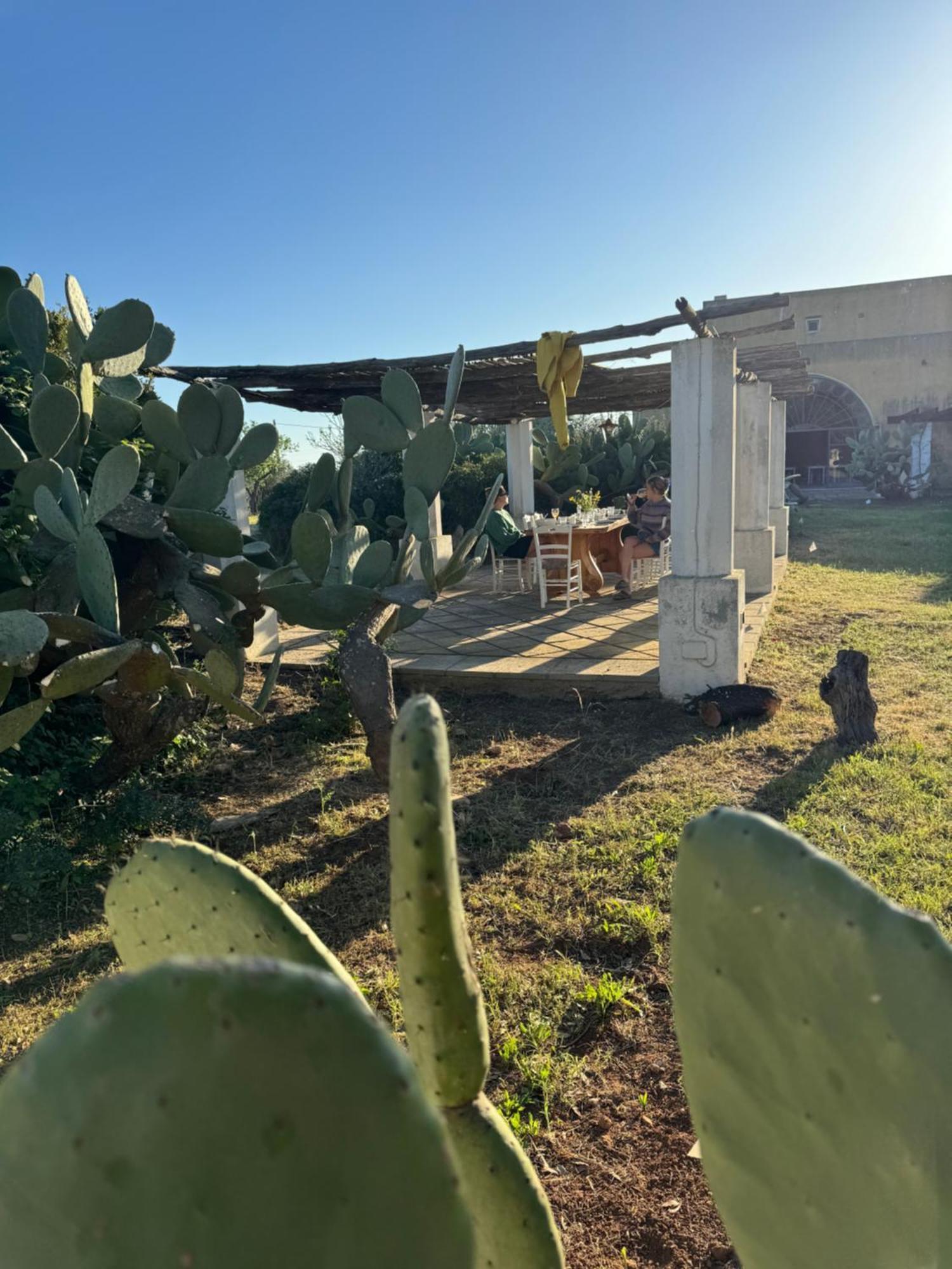 Masseria Mosca Apartamento Sannicola Exterior foto