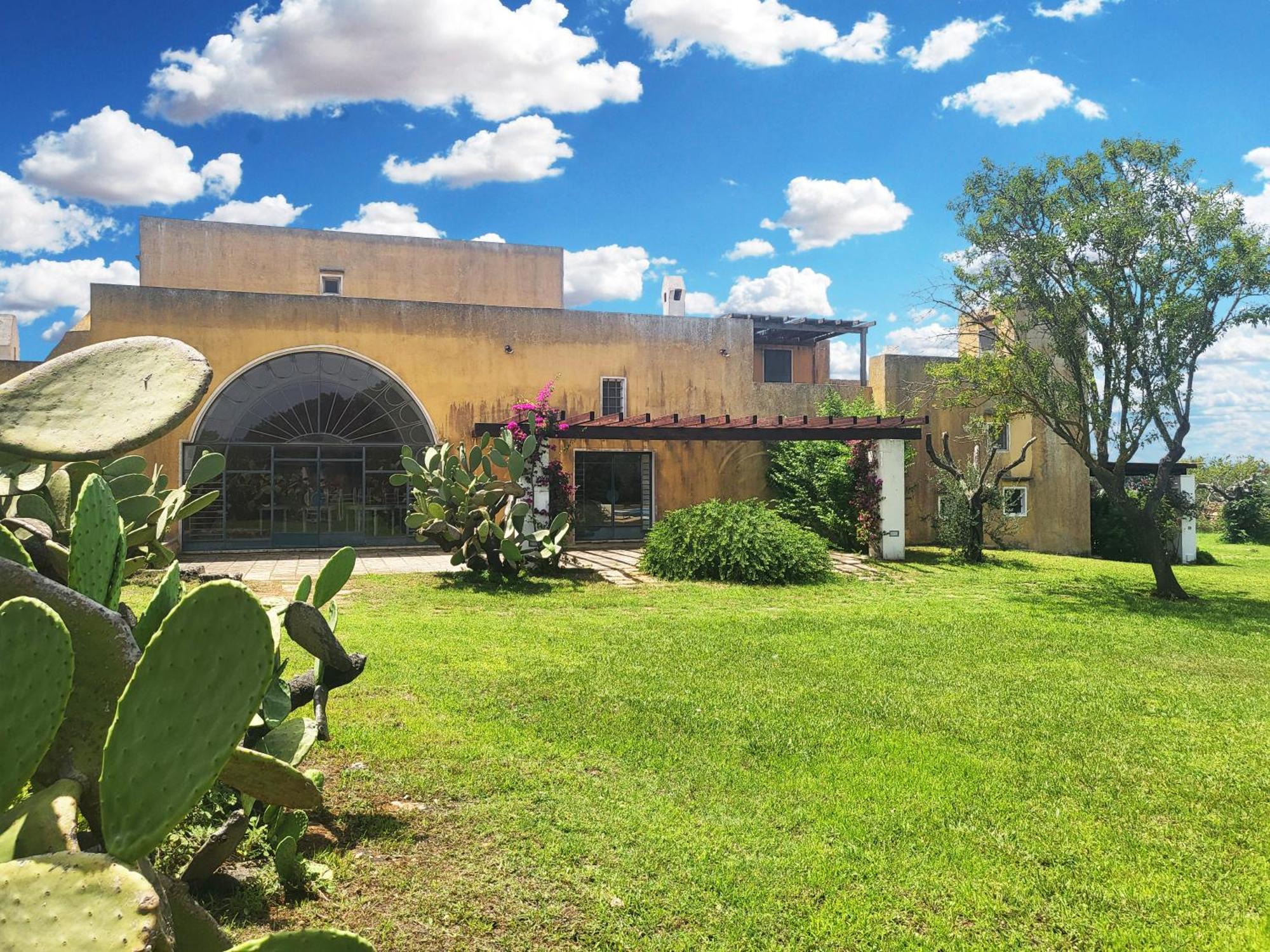 Masseria Mosca Apartamento Sannicola Exterior foto